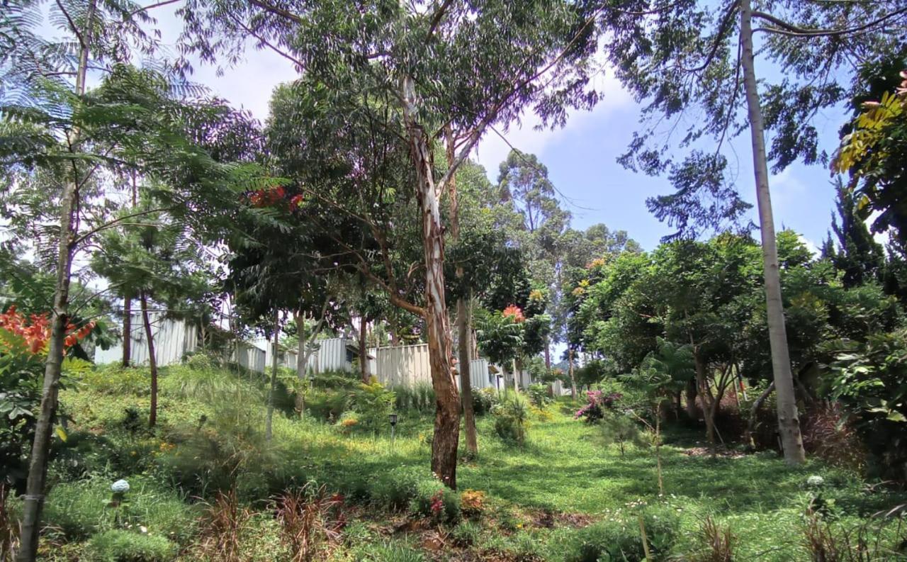 Hotel Bukit Pinus Tegalharendong Buitenkant foto